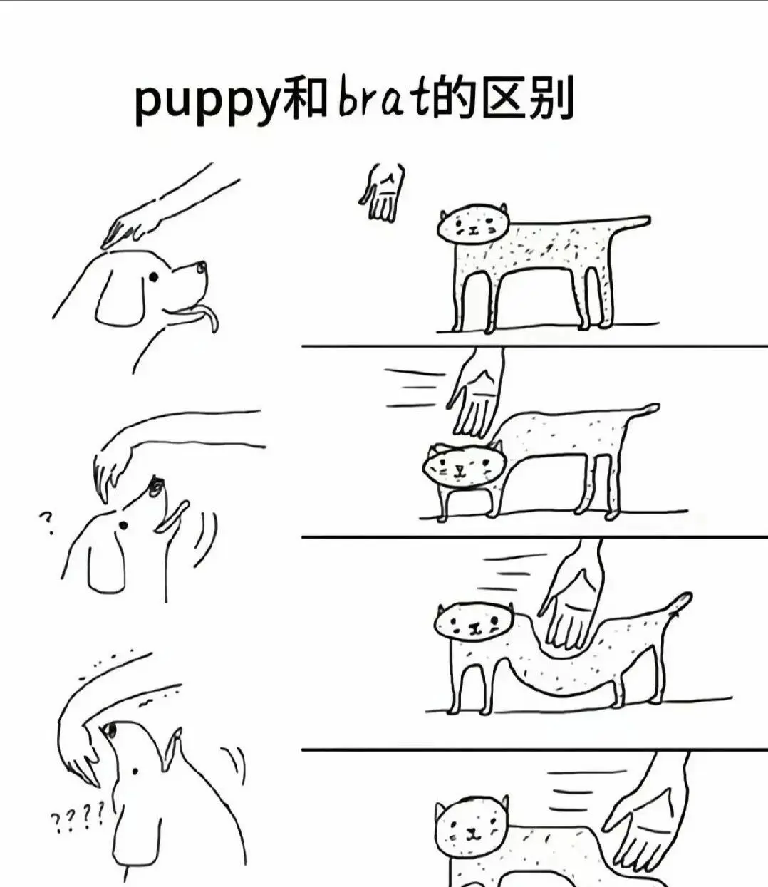 西檬之家s属性是什么意思? 一