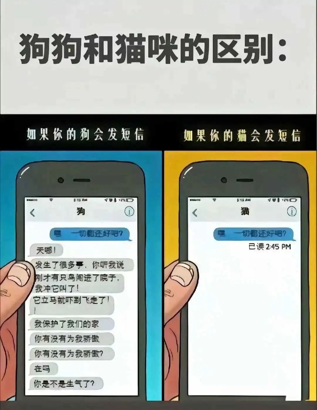 西檬之家TS是什么意思? 一