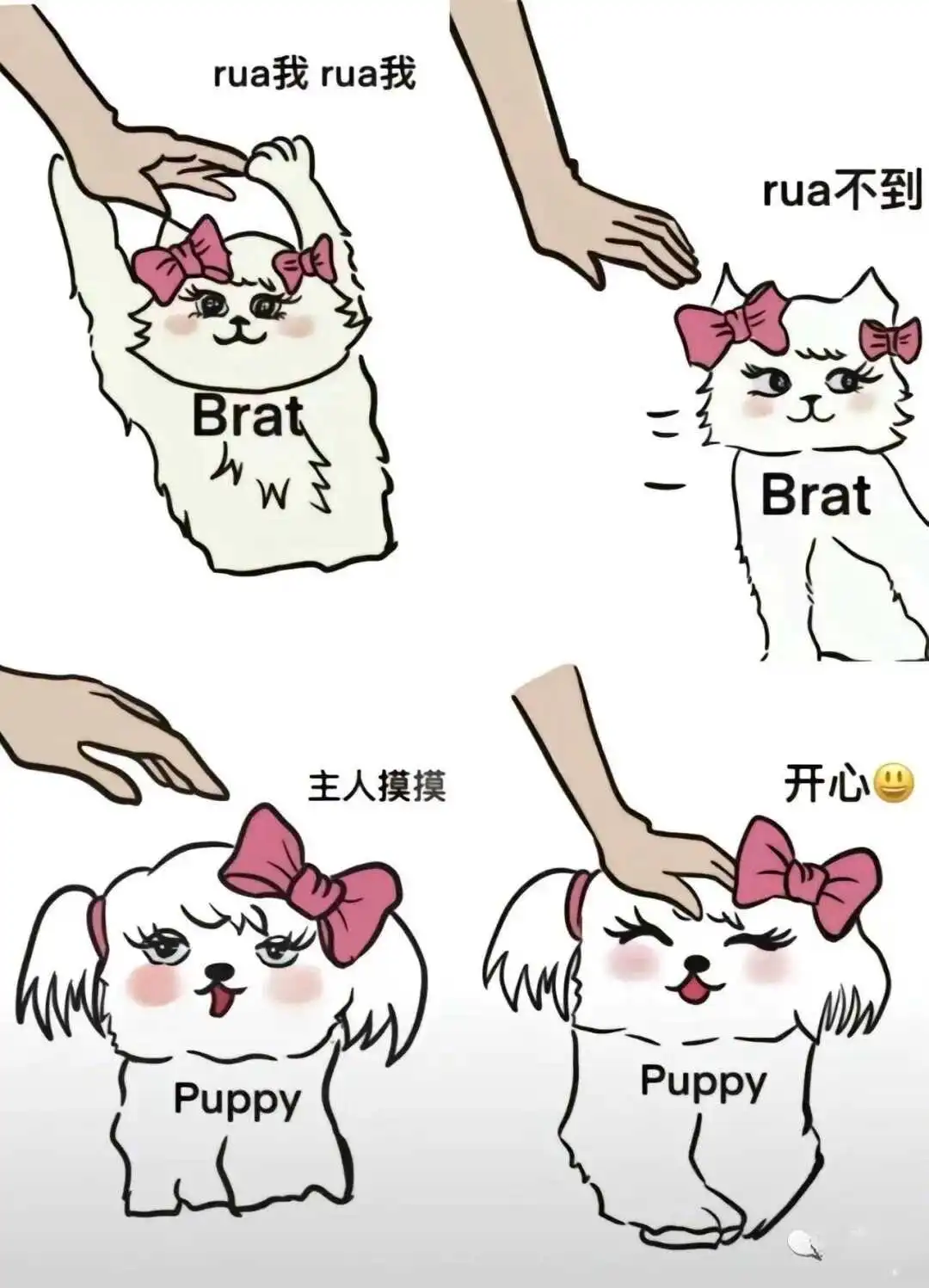 西檬之家k9是什么?你适合当哪种犬? 一