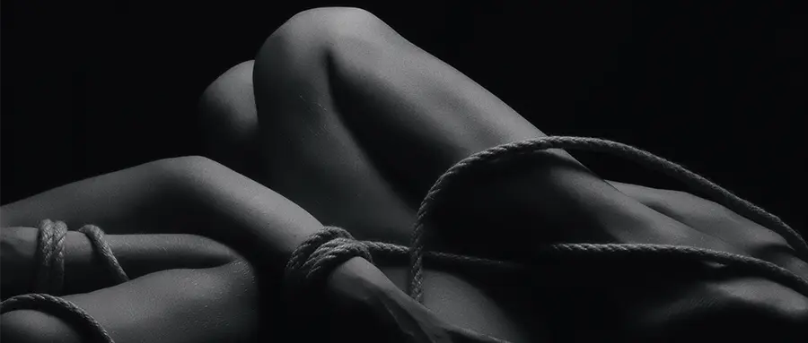 西檬之家BDSM新手入门指南 一