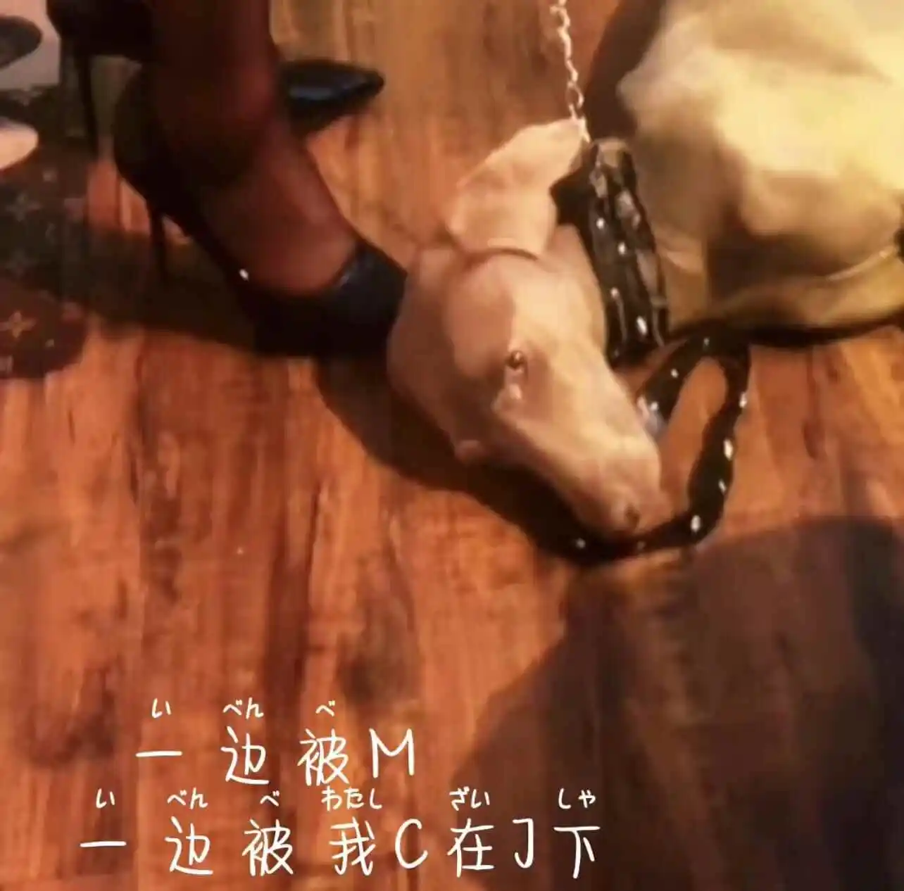 西檬之家字母圈Dom是什么意思? 一