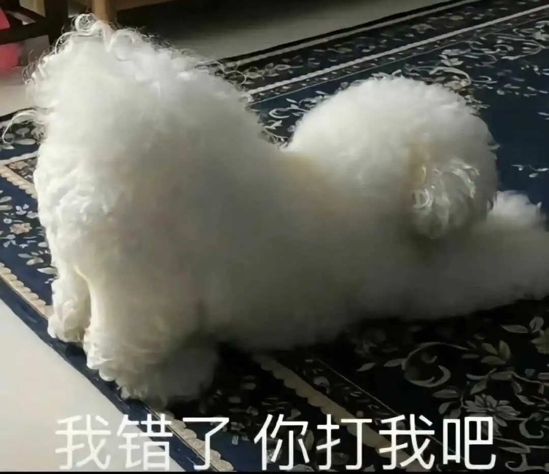 西檬之家CD是什么?字母圈跨装新人入门指南 一