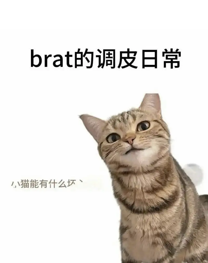 西檬之家SM是什么? 一