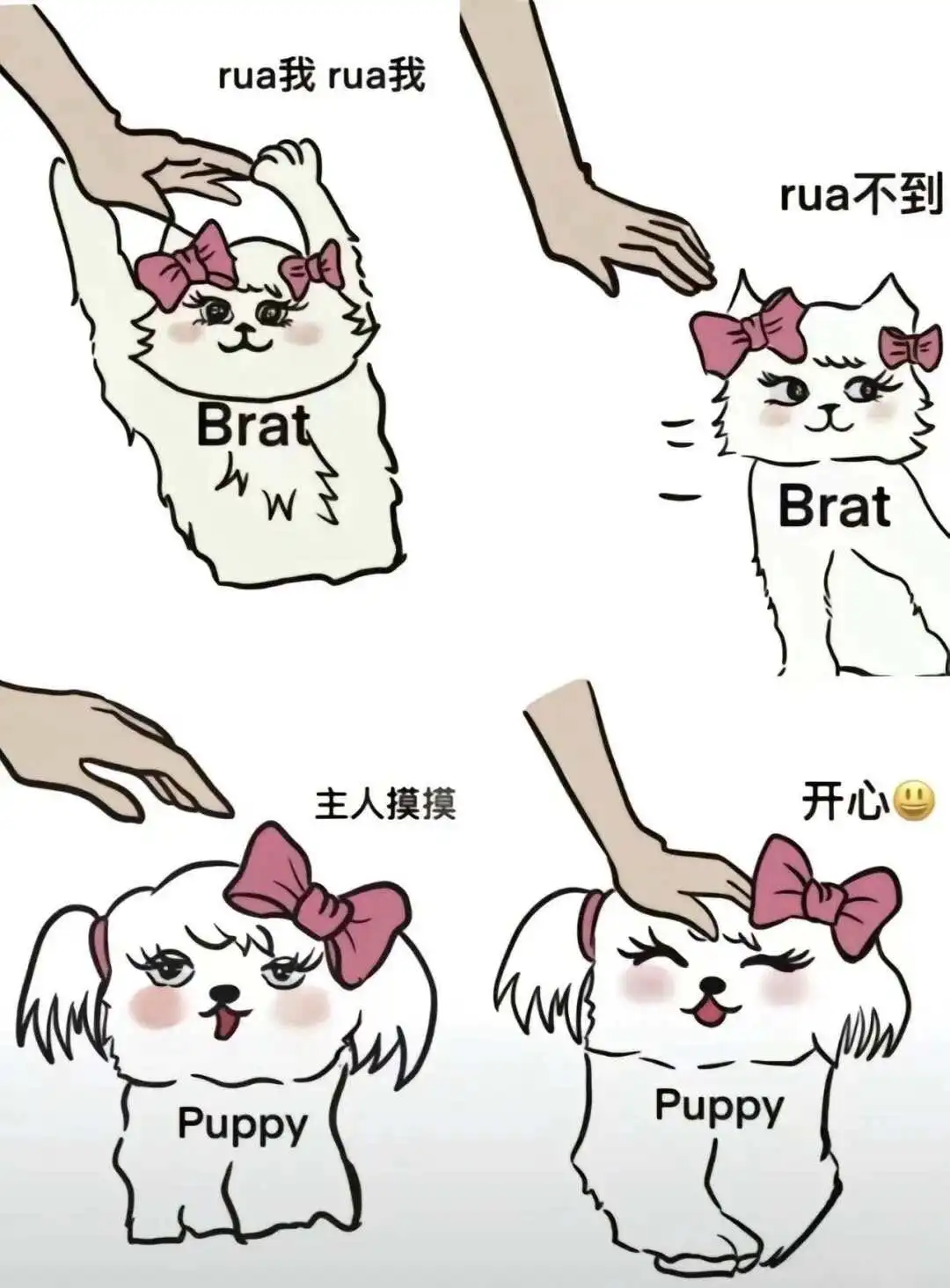 西檬之家SM是什么?字母圈新人必读 一
